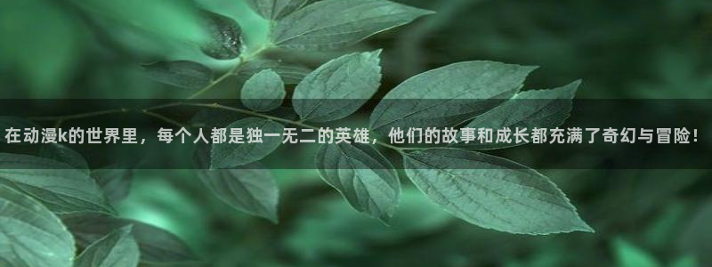 囧次元热门动漫有哪些：在动漫k的世界里，每个人都是独一无二的英雄，他们的故事和成长都充满了奇幻与冒险！