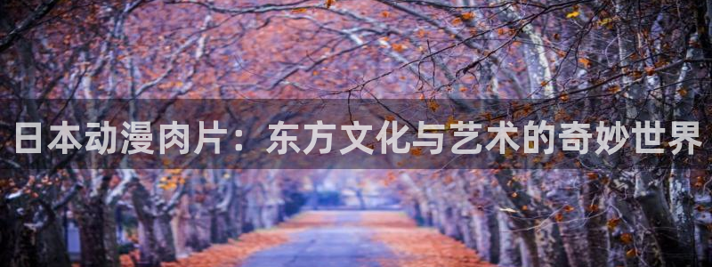 囧次元官方网站：日本动漫肉片：东方文化与艺术的奇妙世界