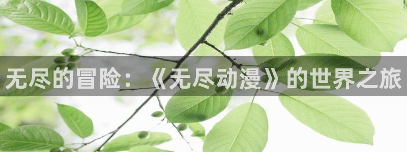 囧次元.：无尽的冒险：《无尽动漫》的世界之旅