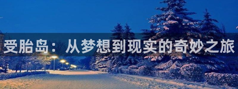 囧次元1：受胎岛：从梦想到现实的奇妙之旅