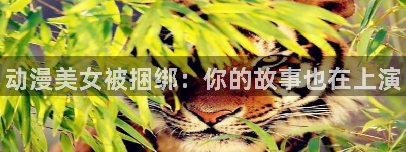 囧次元最新版：动漫美女被捆绑：你的故事也在上演